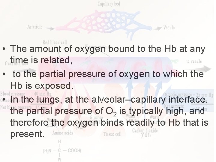  • The amount of oxygen bound to the Hb at any time is