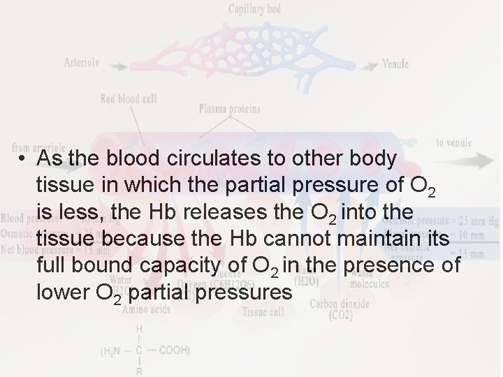  • As the blood circulates to other body tissue in which the partial