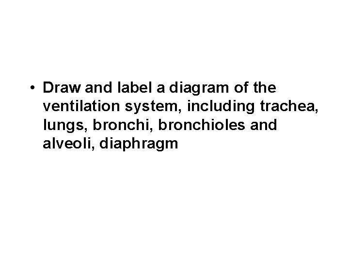  • Draw and label a diagram of the ventilation system, including trachea, lungs,