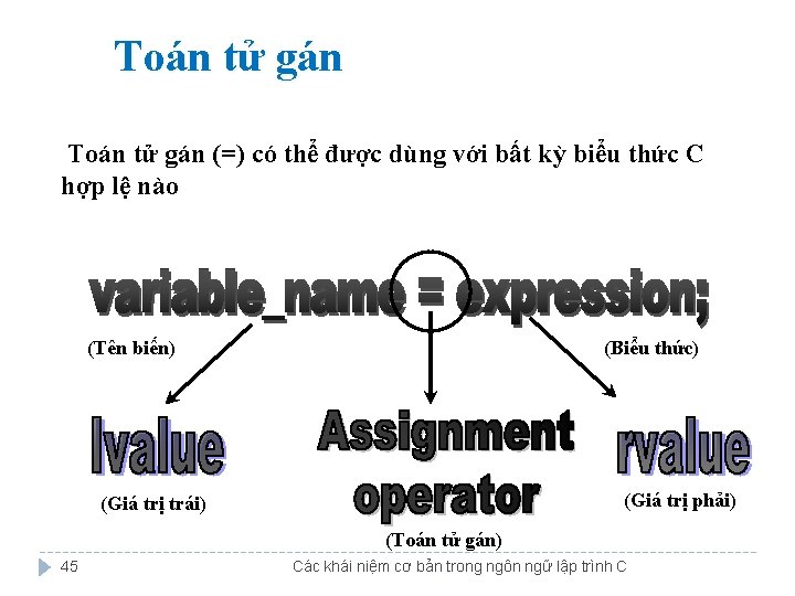 Toán tử gán (=) có thể được dùng với bất kỳ biểu thức C Toán tử gán (=) có thể được dùng với bất kỳ biểu thức C
