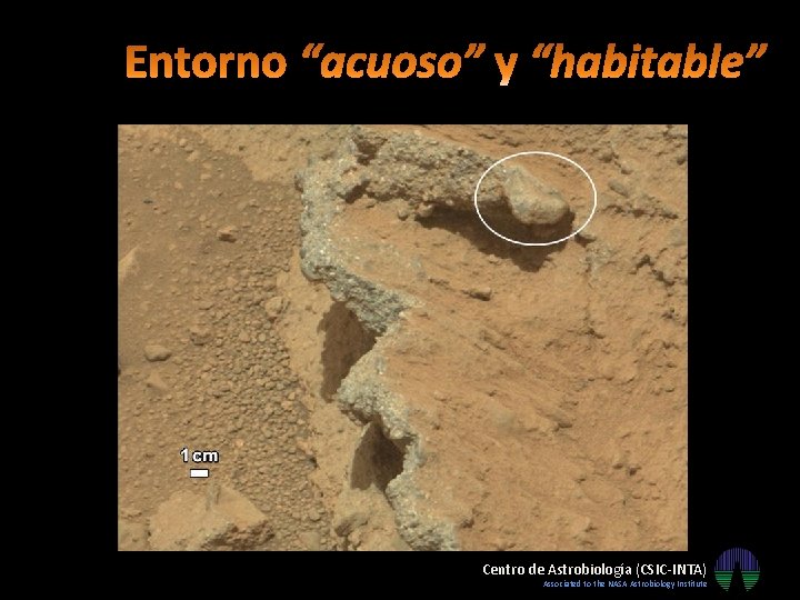 Centro de Astrobiología (CSIC-INTA) Associated to the NASA Astrobiology Institute Centro de Astrobiología (CSIC-INTA) Associated to the NASA Astrobiology Institute