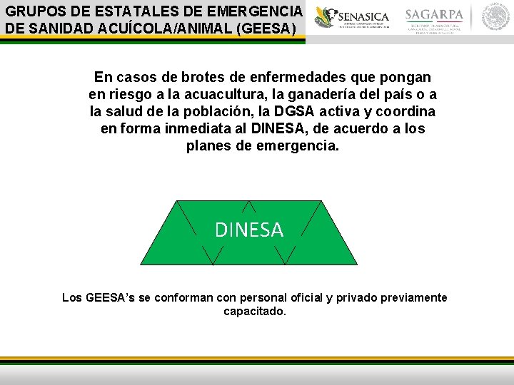 GRUPOS DE ESTATALES DE EMERGENCIA DE SANIDAD ACUÍCOLA/ANIMAL (GEESA) En casos de brotes de