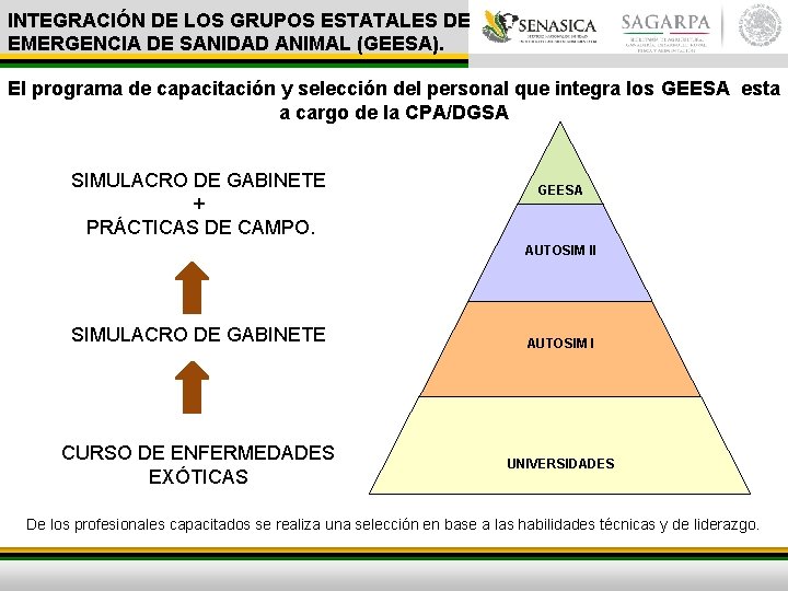 INTEGRACIÓN DE LOS GRUPOS ESTATALES DE EMERGENCIA DE SANIDAD ANIMAL (GEESA). El programa de