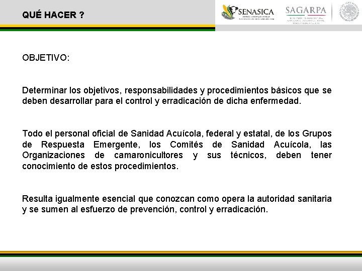 QUÉ HACER ? OBJETIVO: Determinar los objetivos, responsabilidades y procedimientos básicos que se deben