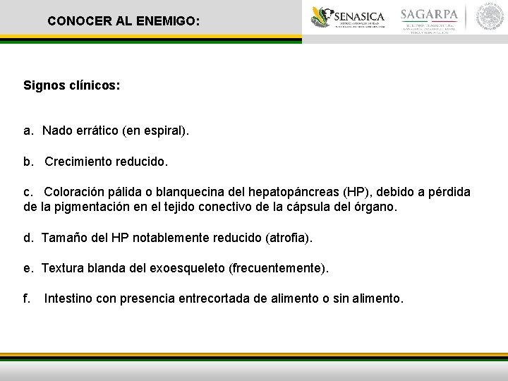 CONOCER AL ENEMIGO: Signos clínicos: a. Nado errático (en espiral). b. Crecimiento reducido. c.