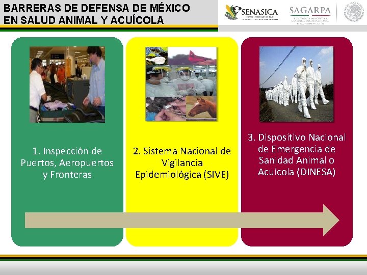 BARRERAS DE DEFENSA DE MÉXICO EN SALUD ANIMAL Y ACUÍCOLA 1. Inspección de Puertos,