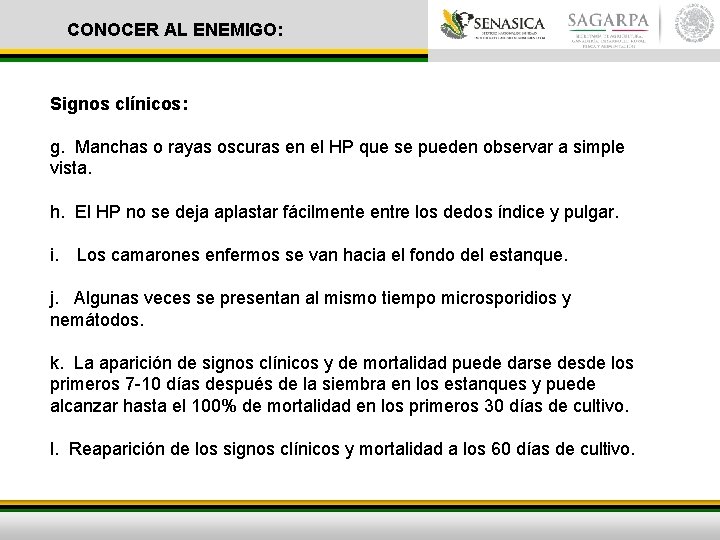 CONOCER AL ENEMIGO: Signos clínicos: g. Manchas o rayas oscuras en el HP que