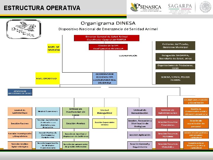 ESTRUCTURA OPERATIVA 