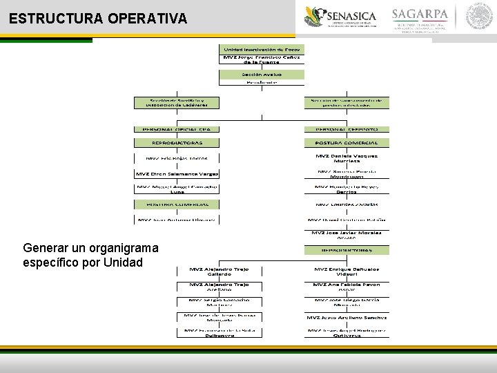 ESTRUCTURA OPERATIVA Generar un organigrama específico por Unidad 
