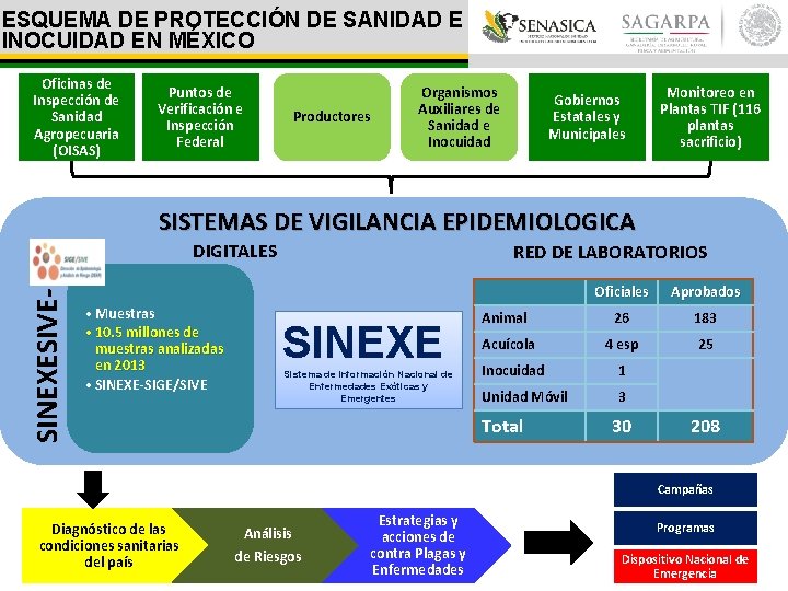 ESQUEMA DE PROTECCIÓN DE SANIDAD E INOCUIDAD EN MÉXICO Oficinas de Inspección de Sanidad