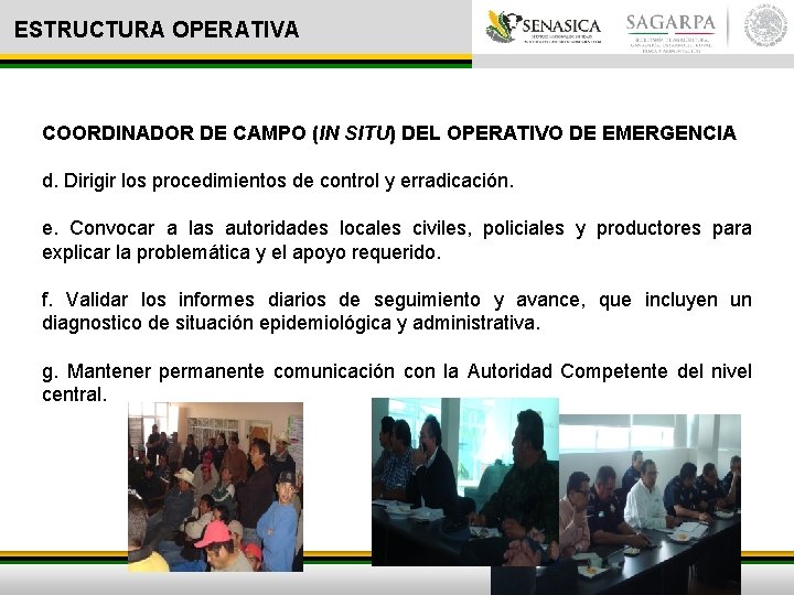 ESTRUCTURA OPERATIVA COORDINADOR DE CAMPO (IN SITU) DEL OPERATIVO DE EMERGENCIA d. Dirigir los