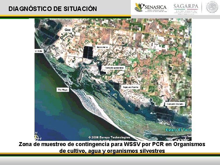 DIAGNÓSTICO DE SITUACIÓN GEOREFERENCIACIÓN DE FOCOS CONFIRMADOS Zona de muestreo de contingencia para WSSV