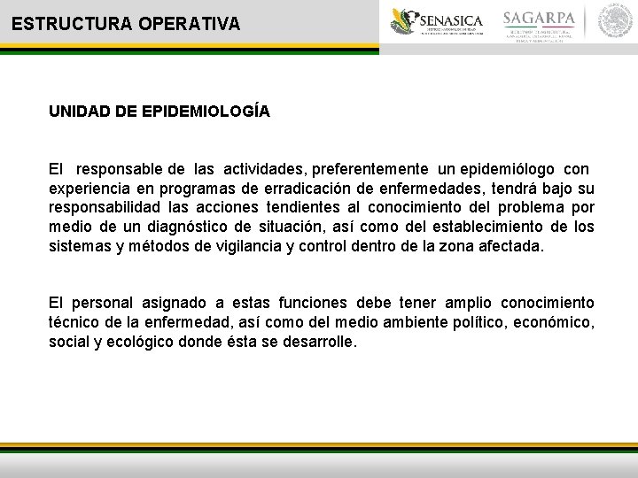 ESTRUCTURA OPERATIVA UNIDAD DE EPIDEMIOLOGÍA El responsable de las actividades, preferentemente un epidemiólogo con