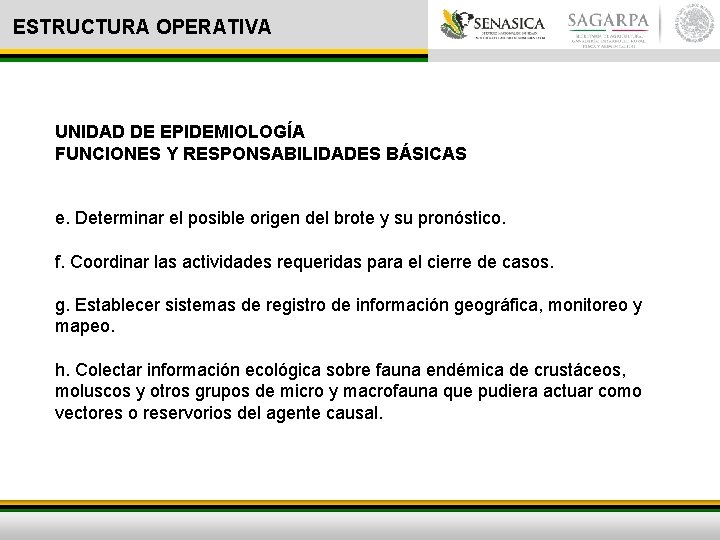 ESTRUCTURA OPERATIVA UNIDAD DE EPIDEMIOLOGÍA FUNCIONES Y RESPONSABILIDADES BÁSICAS e. Determinar el posible origen