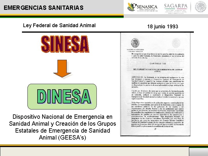 EMERGENCIAS SANITARIAS Ley Federal de Sanidad Animal Dispositivo Nacional de Emergencia en Sanidad Animal