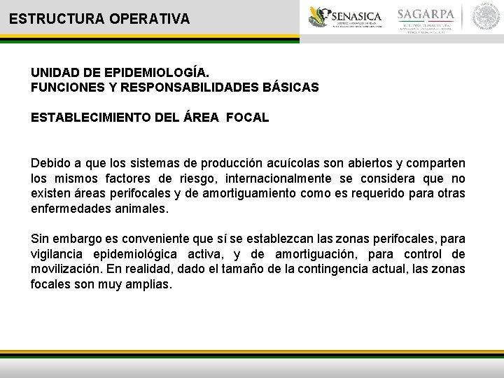 ESTRUCTURA OPERATIVA UNIDAD DE EPIDEMIOLOGÍA. FUNCIONES Y RESPONSABILIDADES BÁSICAS ESTABLECIMIENTO DEL ÁREA FOCAL Debido