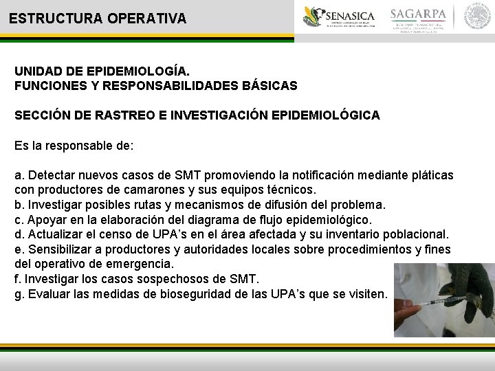 ESTRUCTURA OPERATIVA UNIDAD DE EPIDEMIOLOGÍA. FUNCIONES Y RESPONSABILIDADES BÁSICAS SECCIÓN DE RASTREO E INVESTIGACIÓN