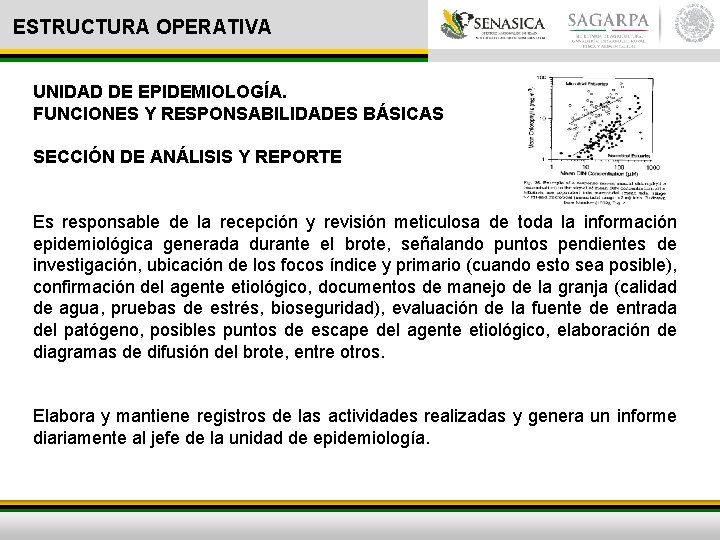 ESTRUCTURA OPERATIVA UNIDAD DE EPIDEMIOLOGÍA. FUNCIONES Y RESPONSABILIDADES BÁSICAS SECCIÓN DE ANÁLISIS Y REPORTE