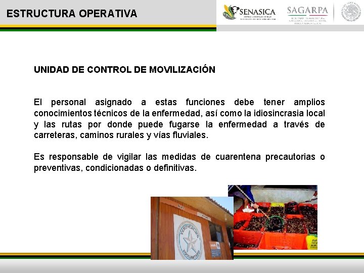 ESTRUCTURA OPERATIVA UNIDAD DE CONTROL DE MOVILIZACIÓN El personal asignado a estas funciones debe