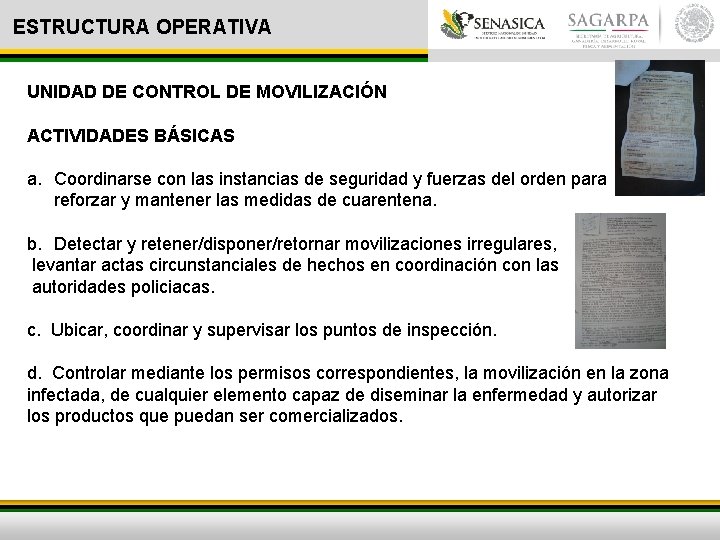 ESTRUCTURA OPERATIVA UNIDAD DE CONTROL DE MOVILIZACIÓN ACTIVIDADES BÁSICAS a. Coordinarse con las instancias