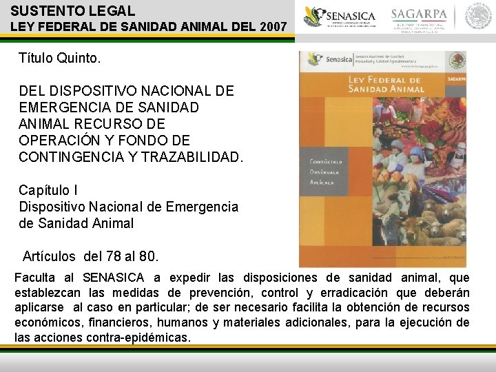 SUSTENTO LEGAL LEY FEDERAL DE SANIDAD ANIMAL DEL 2007 Título Quinto. DEL DISPOSITIVO NACIONAL