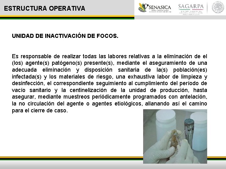 ESTRUCTURA OPERATIVA UNIDAD DE INACTIVACIÓN DE FOCOS. Es responsable de realizar todas labores relativas