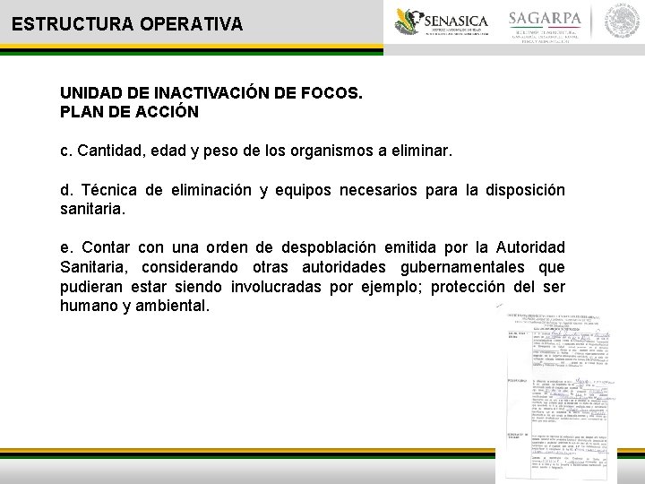 ESTRUCTURA OPERATIVA UNIDAD DE INACTIVACIÓN DE FOCOS. PLAN DE ACCIÓN c. Cantidad, edad y