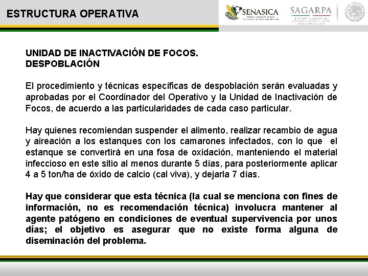 ESTRUCTURA OPERATIVA UNIDAD DE INACTIVACIÓN DE FOCOS. DESPOBLACIÓN El procedimiento y técnicas específicas de