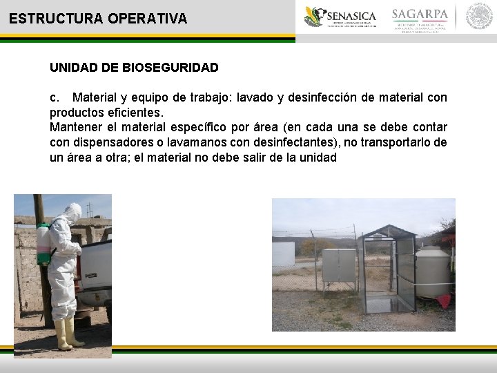 ESTRUCTURA OPERATIVA UNIDAD DE BIOSEGURIDAD c. Material y equipo de trabajo: lavado y desinfección