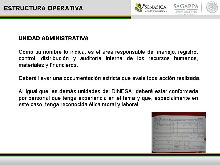 ESTRUCTURA OPERATIVA UNIDAD ADMINISTRATIVA Como su nombre lo indica, es el área responsable del