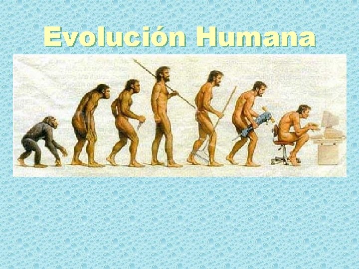 Evolución Humana 