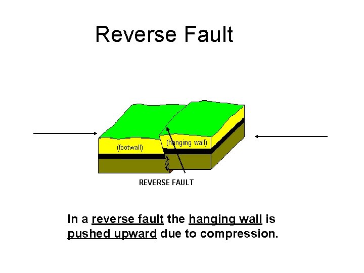 Reverse Fault In a reverse fault the hanging wall is pushed upward due to Reverse Fault In a reverse fault the hanging wall is pushed upward due to