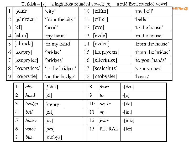 Morphology Practice 8 Ch 4 Morphology 