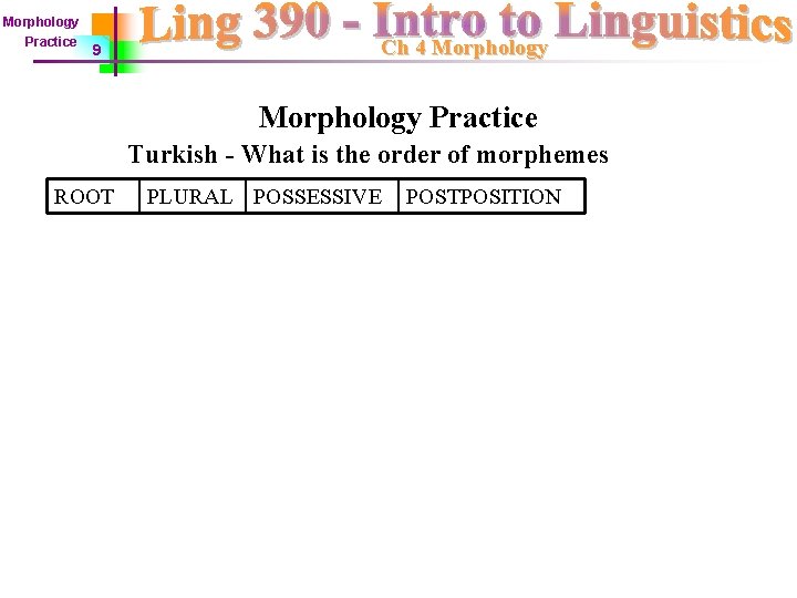 Morphology Practice 9 Ch 4 Morphology Practice Turkish - What is the order of