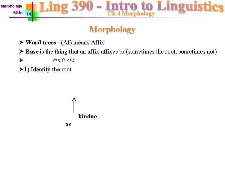Morphology Slide Ch 4 Morphology 14 Morphology Ø Word trees - (Af) means Affix