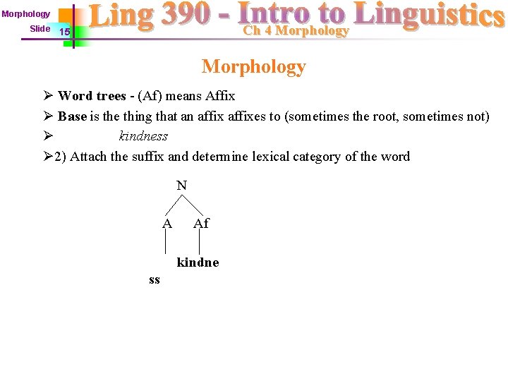 Morphology Slide Ch 4 Morphology 15 Morphology Ø Word trees - (Af) means Affix