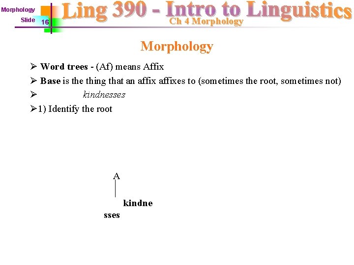 Morphology Slide Ch 4 Morphology 16 Morphology Ø Word trees - (Af) means Affix