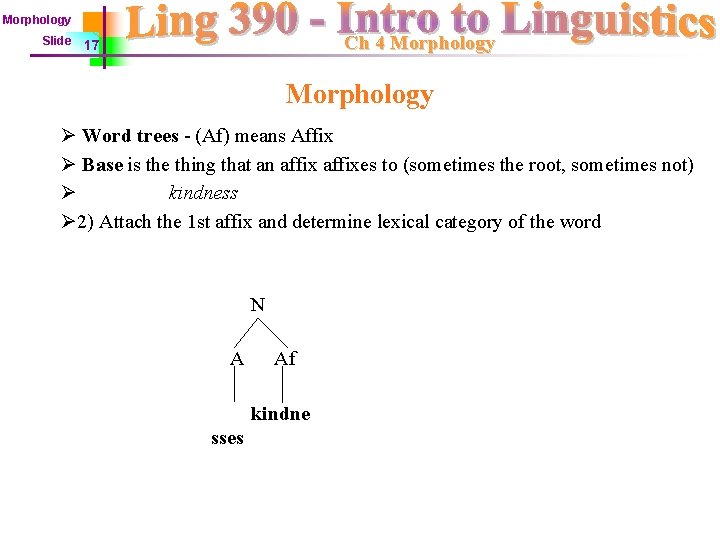 Morphology Slide Ch 4 Morphology 17 Morphology Ø Word trees - (Af) means Affix
