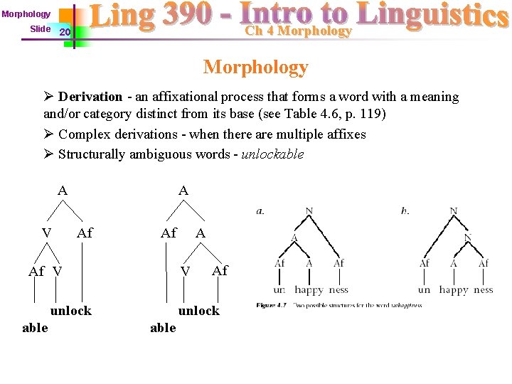 Morphology Slide Ch 4 Morphology 20 Morphology Ø Derivation - an affixational process that