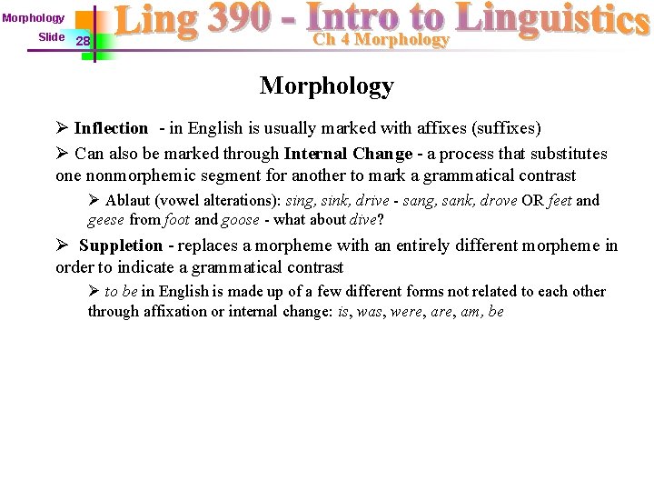 Morphology Slide 28 Ch 4 Morphology Ø Inflection - in English is usually marked