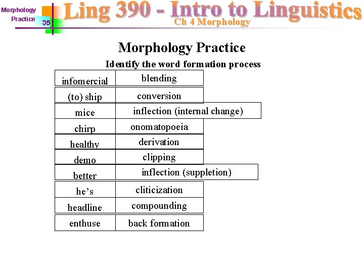 Morphology Practice Ch 4 Morphology 35 Morphology Practice Identify the word formation process blending