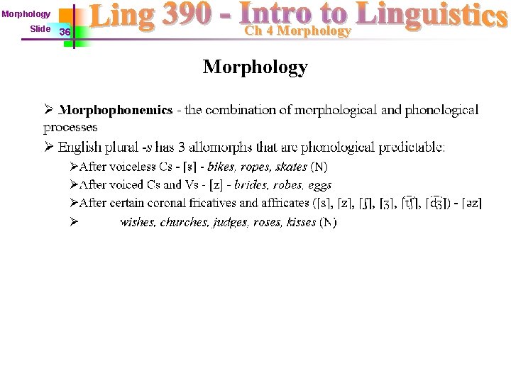 Morphology Slide 36 Ch 4 Morphology 