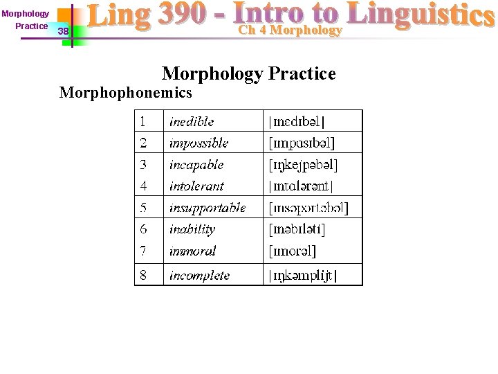 Morphology Practice Ch 4 Morphology 38 Morphology Practice Morphophonemics 