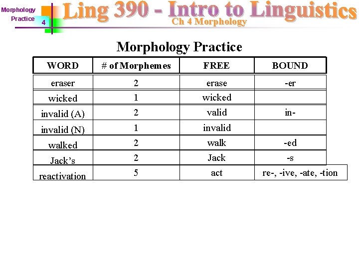 Morphology Practice Ch 4 Morphology Practice WORD # of Morphemes FREE BOUND eraser 2