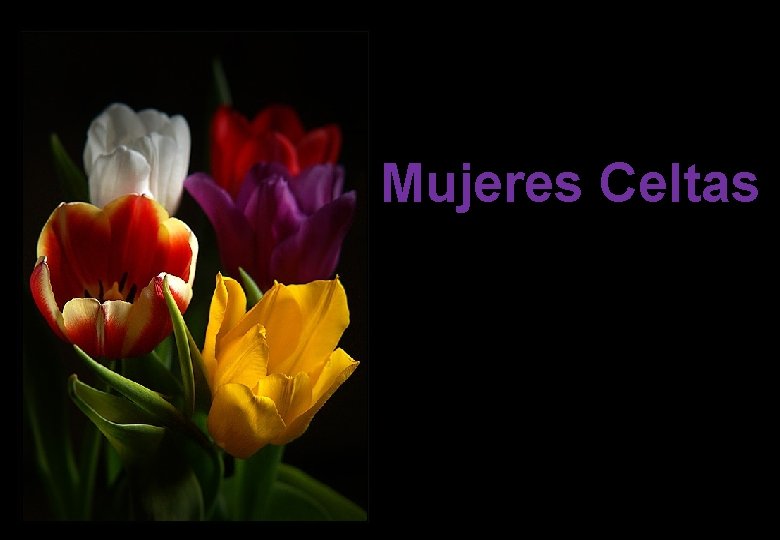 Mujeres Celtas 