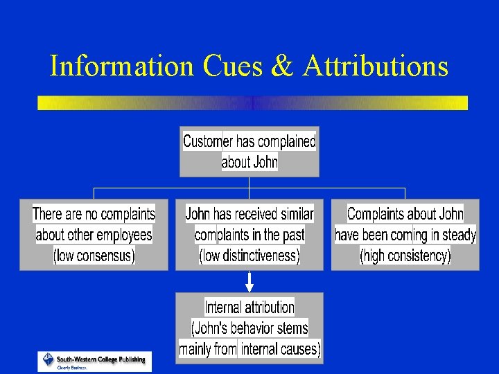 Information Cues & Attributions 