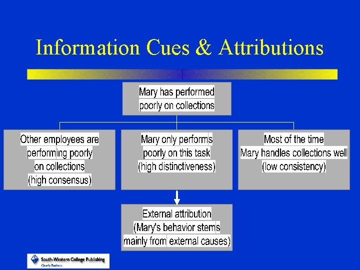 Information Cues & Attributions 