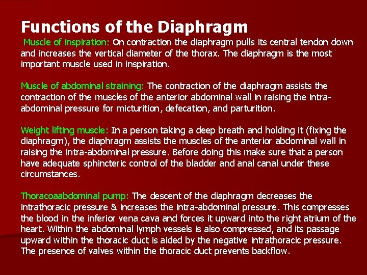 Functions of the Diaphragm Muscle of inspiration: On contraction the diaphragm pulls its central