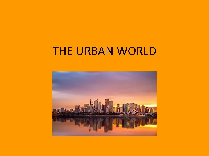 THE URBAN WORLD 