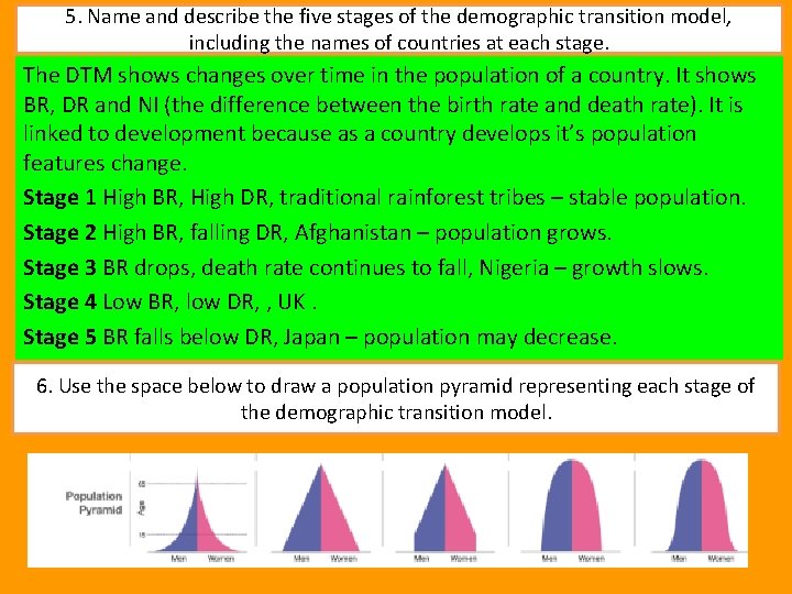 5. Name and describe the five stages of the demographic transition model, including the